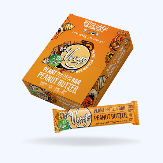 Peanut Butter Crunch Plant Protein Bar All Natural All Raw Gluten Free Dairy Free Organic Protein Source